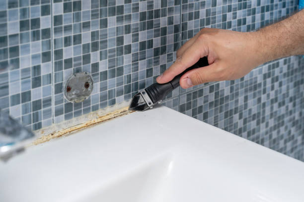 Best Bathroom Mold Remediation in Leetsdale, PA